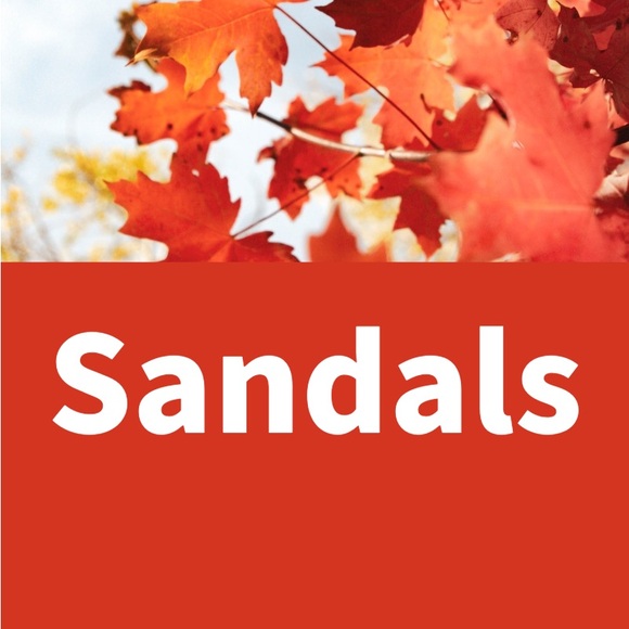 Sandals - Picture 2 of 4